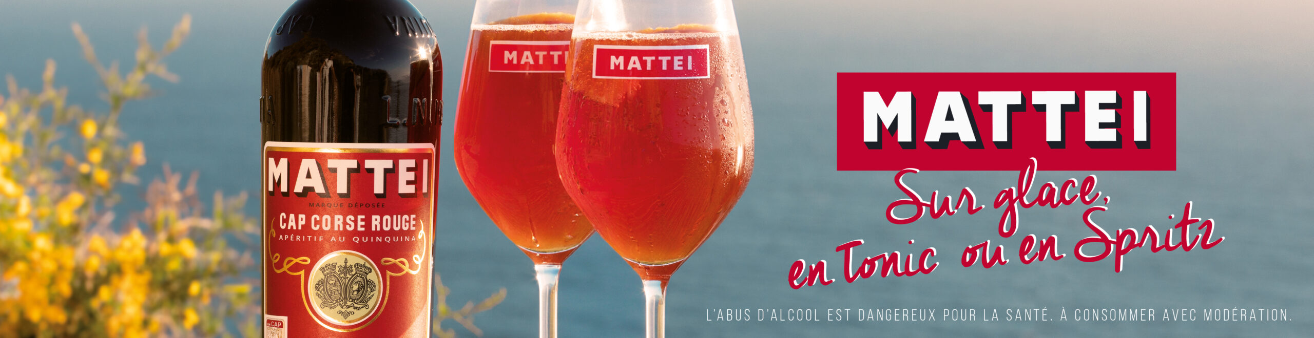 Mattei 970x250px_bandeau