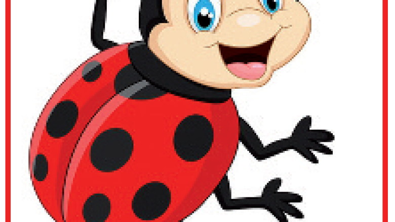 A Ciriola