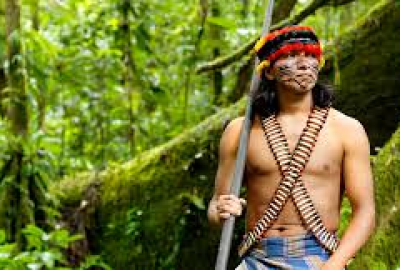 Amazonie Onu