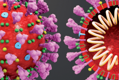 COVID 19 illustration