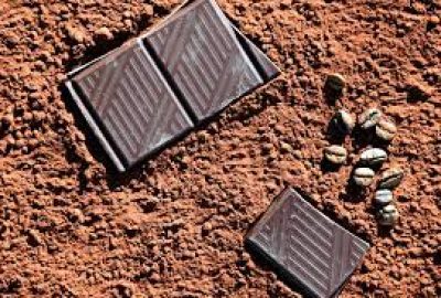 Cacao