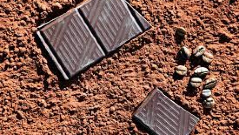 Cacao
