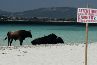 Capture d’écran 2021-09-21 à 15.06.47