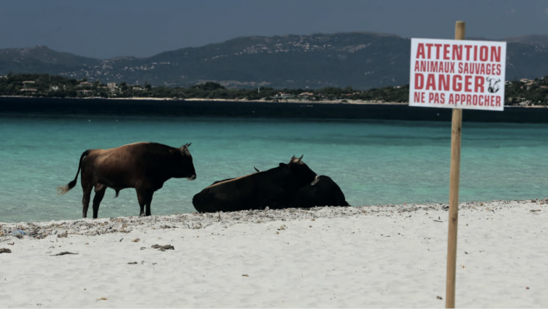 Capture d’écran 2021-09-21 à 15.06.47