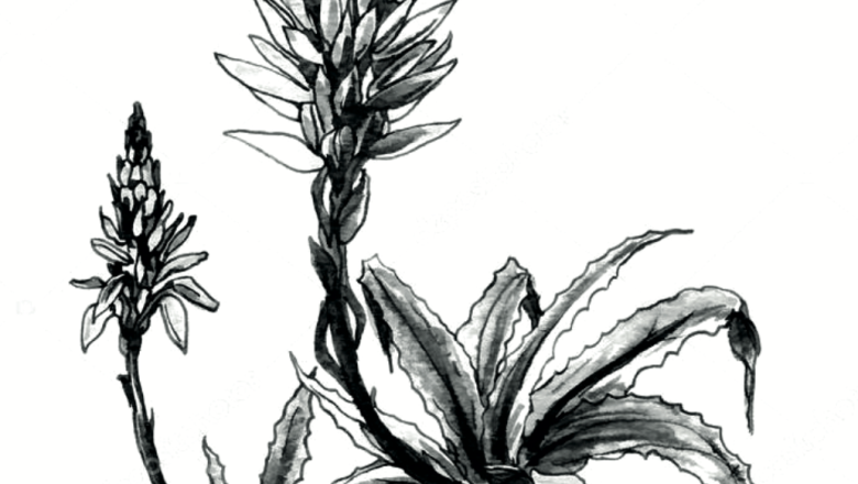 Capture d’écran 2021-09-26 à 19.07.47