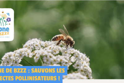 Abeille