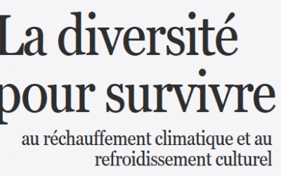 Capture d’écran 2026-04-09 à 14.10.53
