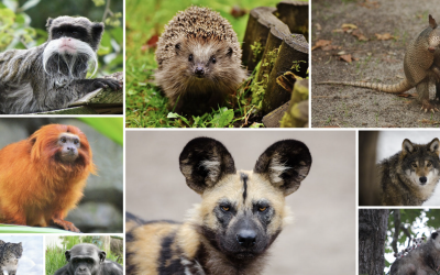 Capture d’écran 2026-04-16 à 23.21.38