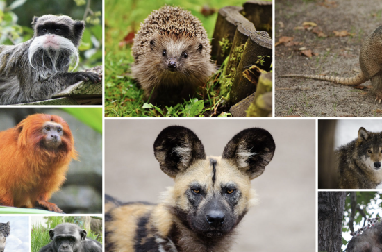 Capture d’écran 2026-04-16 à 23.21.38