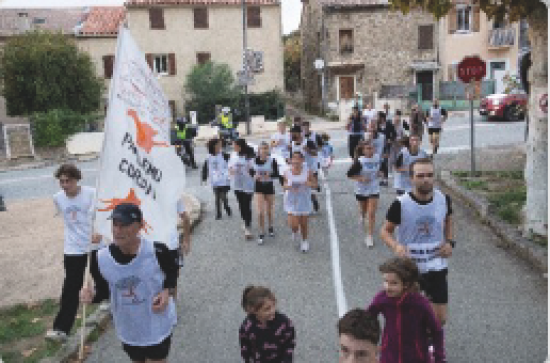 Currilingua