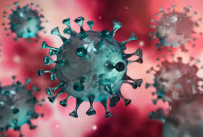 Corona Virus