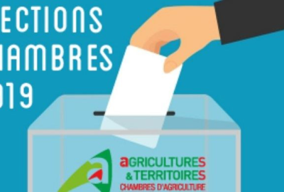 Elections chambres d'Agricultures