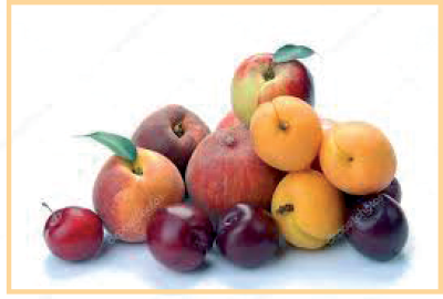 Frutti