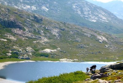 Lac de Ninu