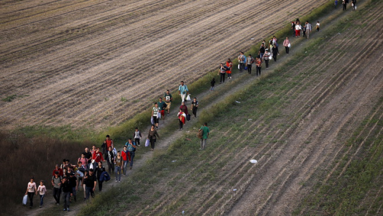 Migrants 1