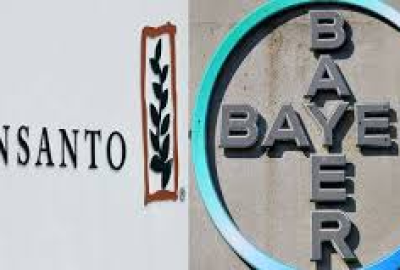 Monsanto Bayer