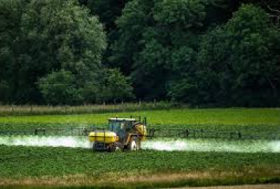 Pesticide