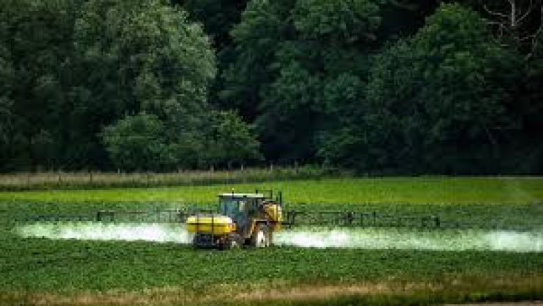 Pesticide