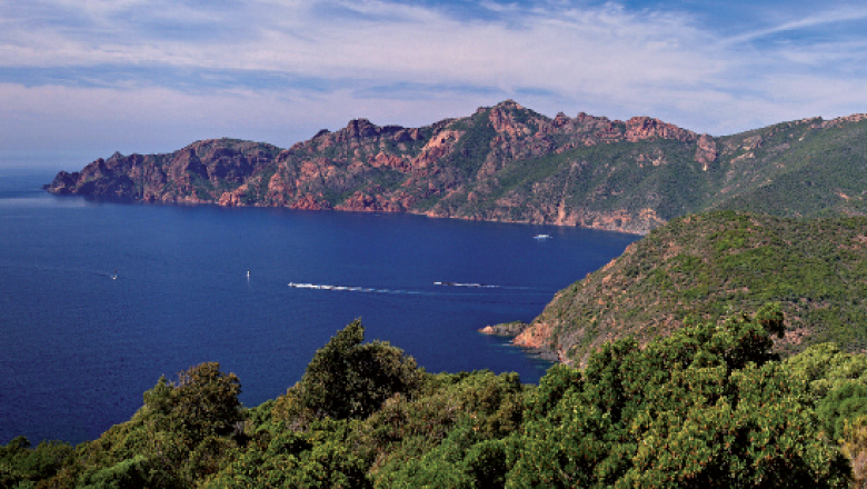Scandola
