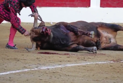 Tauromachie