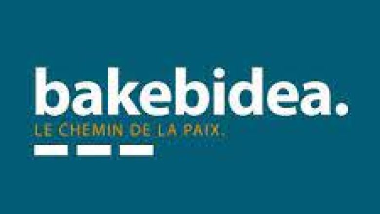 Bake Bidea