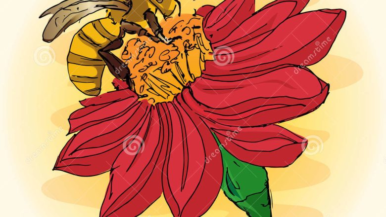 abeille-sur-fleur