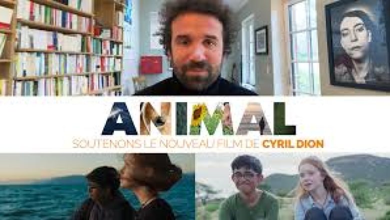 animal