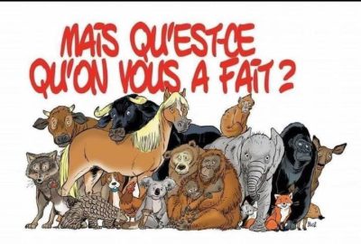 animali