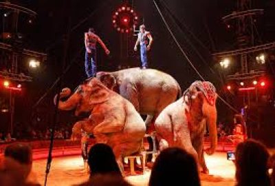cirques