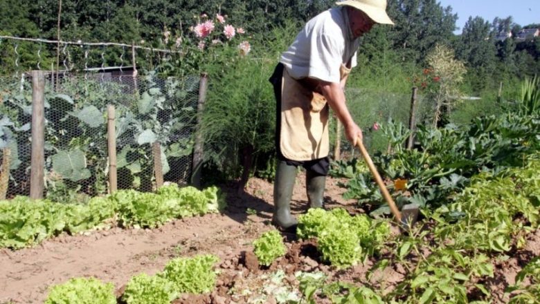 jardinier