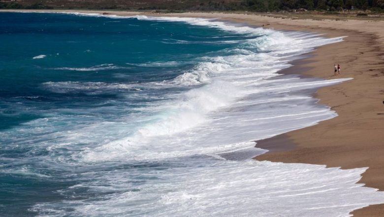 littoral