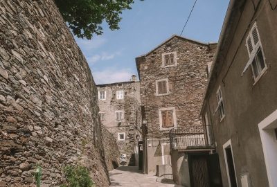 succession Venzolasca-2