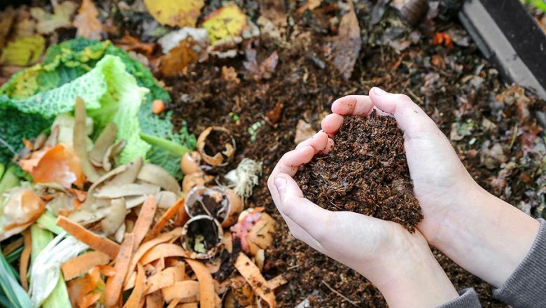 déchets tri compost