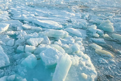 Banquise