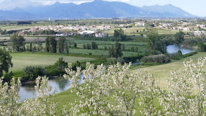tavignanu