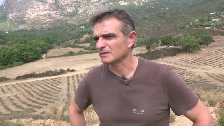 Pierre Alessandri